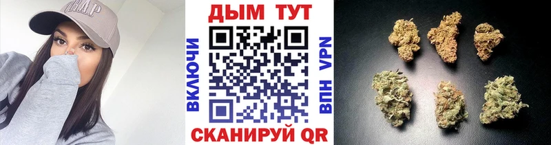 что такое   Раменское  мега ТОР  МАРИХУАНА сатива 